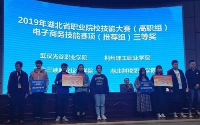 经管院学生在湖北省职业院校技能大赛中取得佳绩