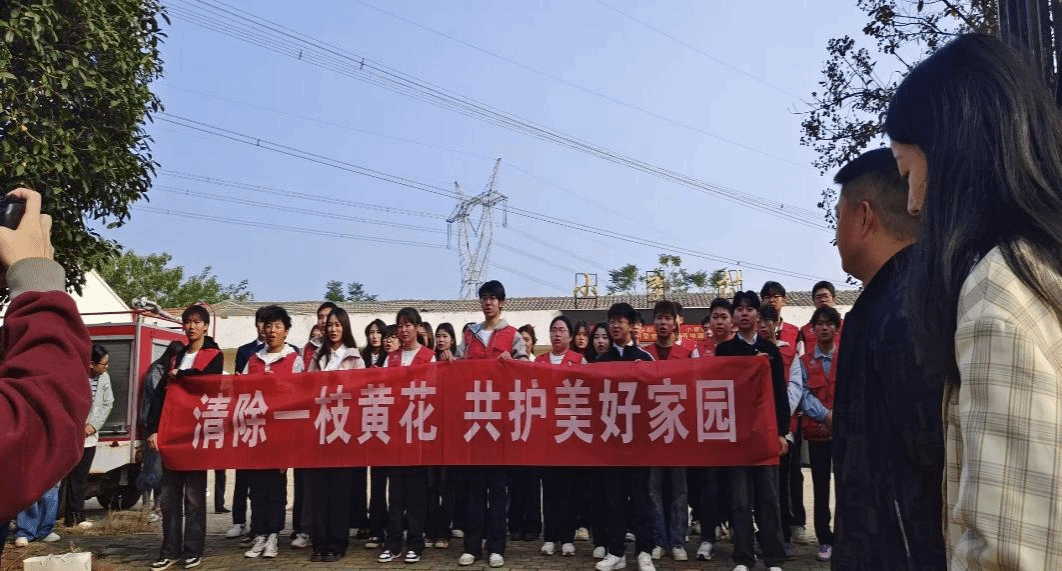 清除“加拿大一枝黄花”，村校联手共护辖区生态安全